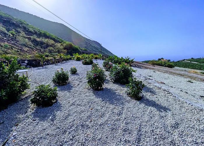 My Joy - Adults Only